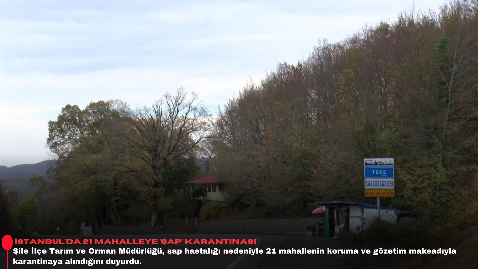 İstanbul'da 21 mahalleye 'şap' karantinası