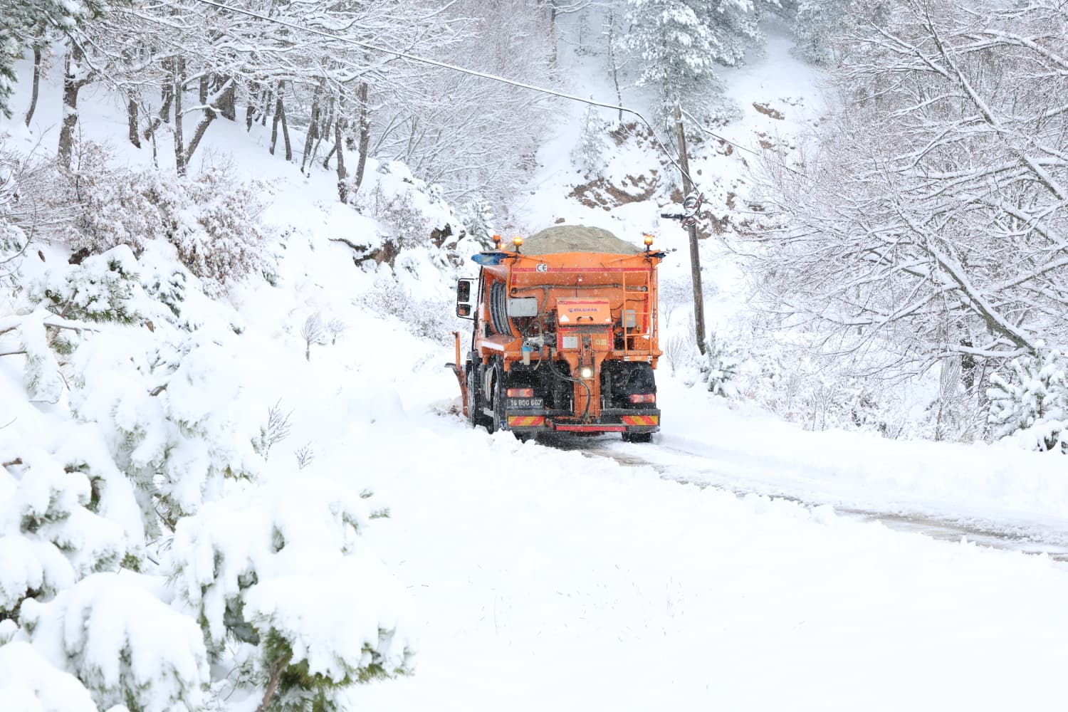 695363316C52A234641515