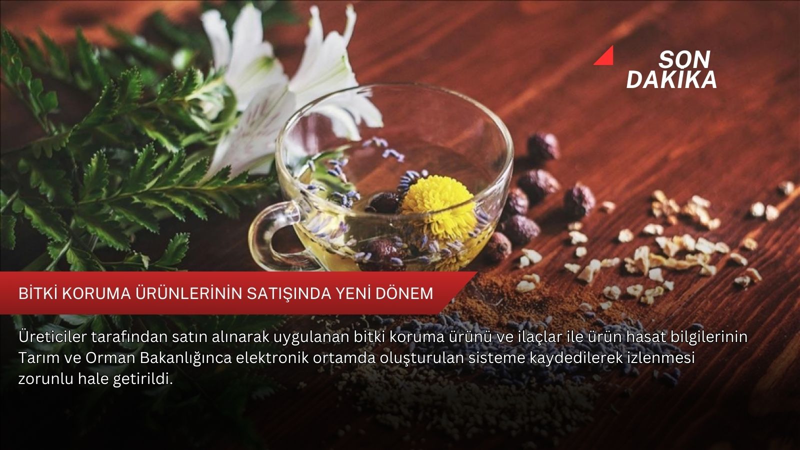 Bitki koruma ürünlerinin satışında yeni dönem