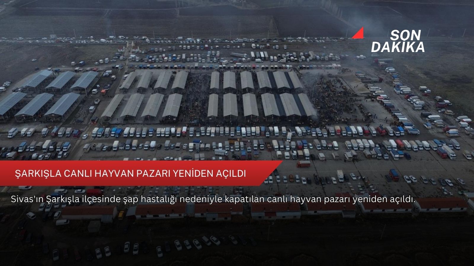 Şarkışla Canlı Hayvan Pazarı yeniden açıldı