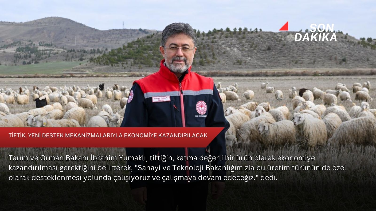 Tiftik, yeni destek mekanizmalarıyla ekonomiye kazandırılacak