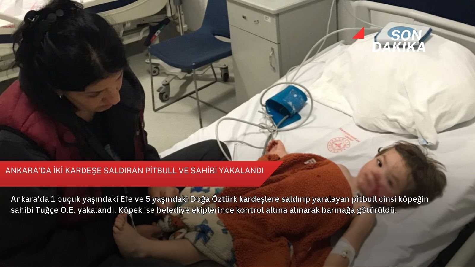 Ankara'da iki kardeşe saldıran pitbull ve sahibi yakalandı