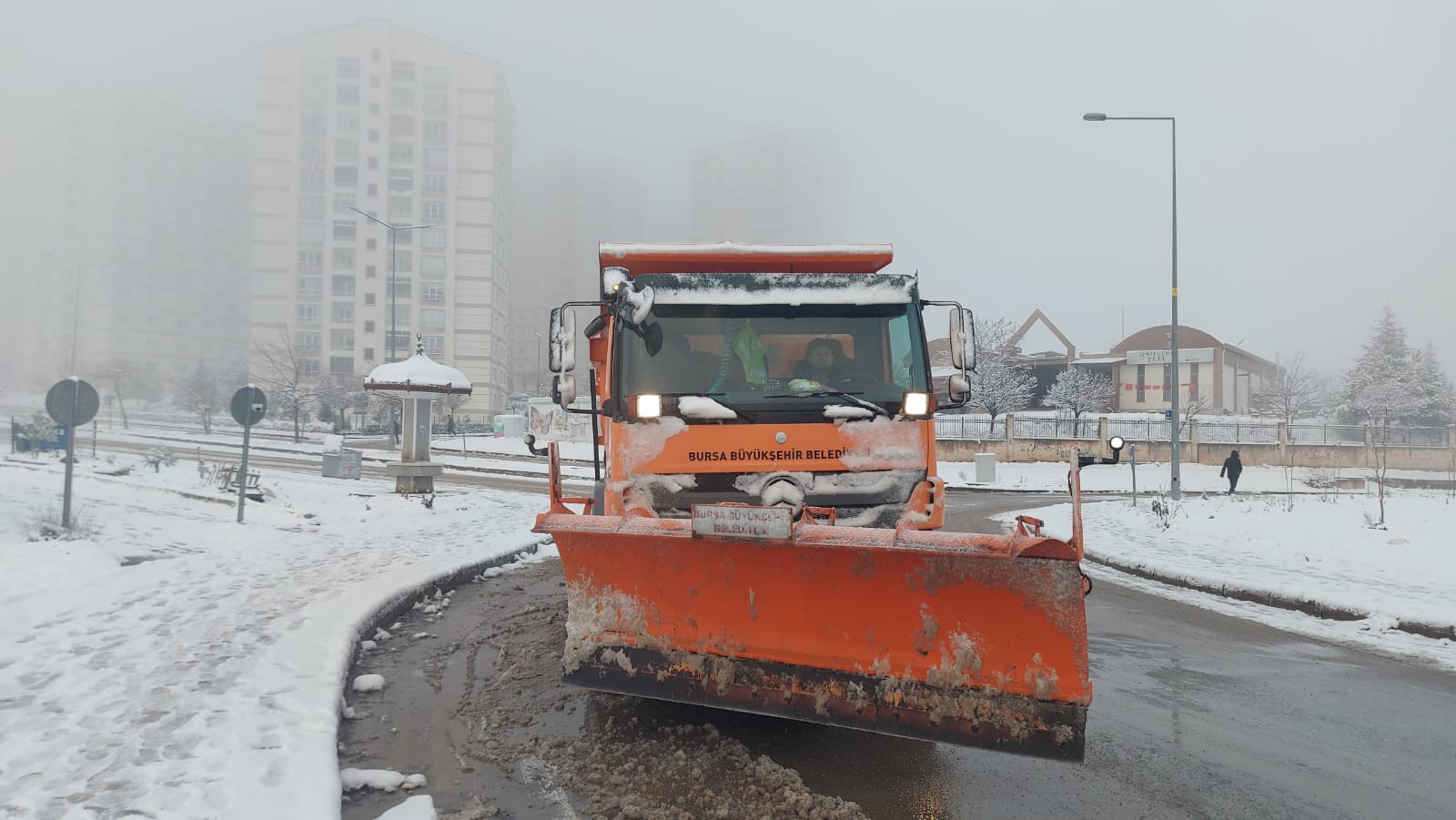 36595 M T Y5 Nj Vl N T 6