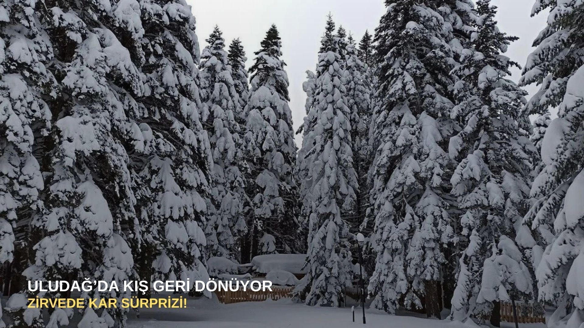 Uludağ’da kış geri dönüyor: Zirvede kar sürprizi!