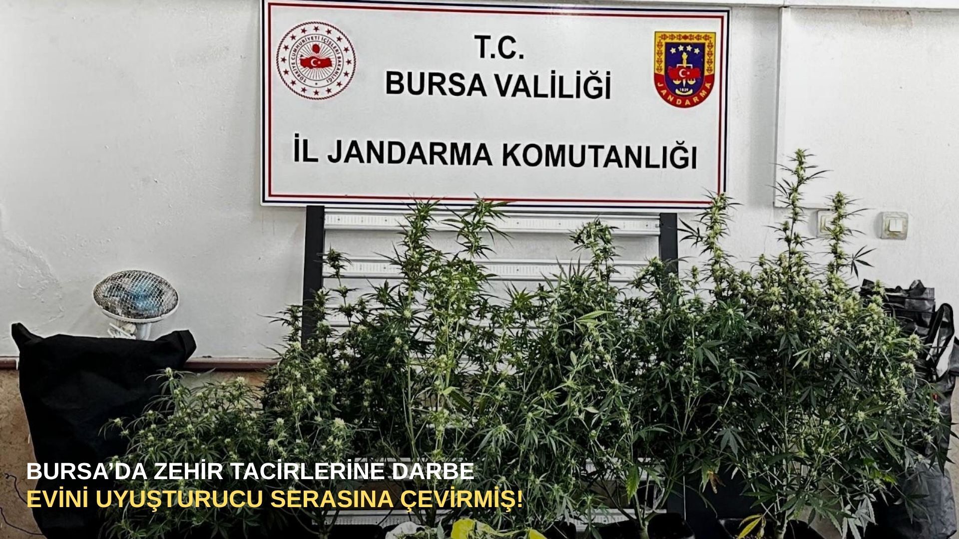 Bursa’da zehir tacirlerine darbe: Evini uyuşturucu serasına çevirmiş!