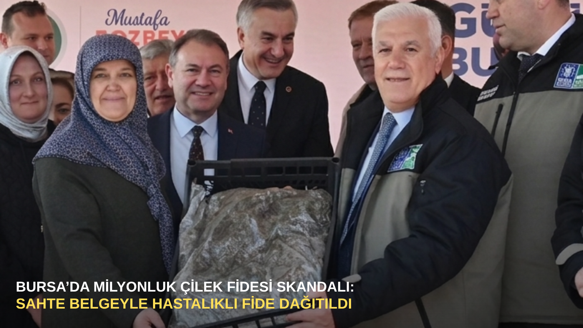 Bursa’da milyonluk çilek fidesi skandalı: Sahte belgeyle hastalıklı fide dağıtıldı