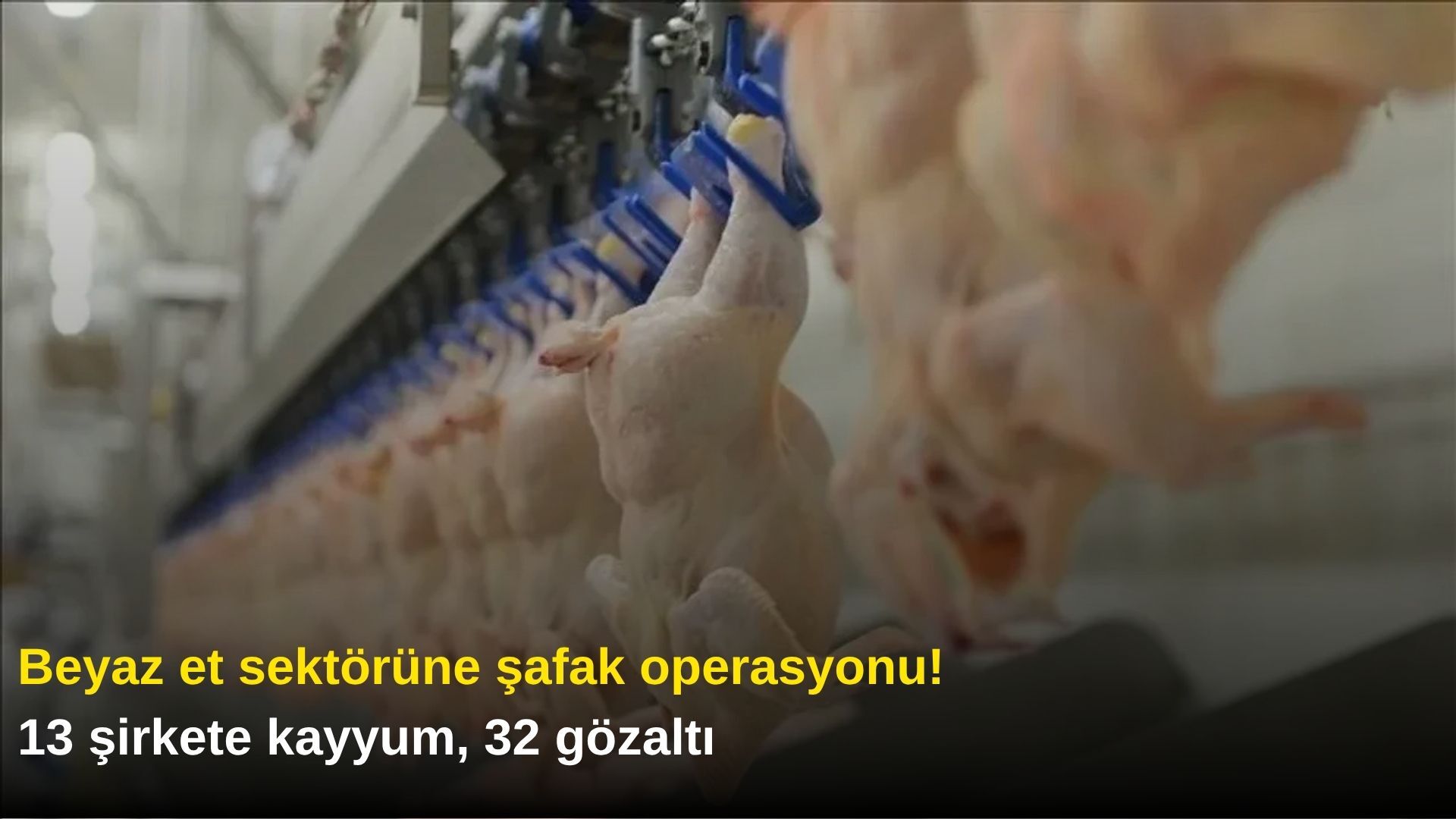 Beyaz et sektörüne şafak operasyonu! 13 şirkete kayyum, 32 gözaltı