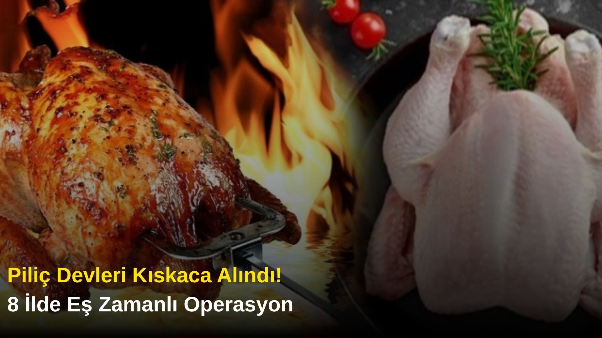 Piliç Devleri Kıskaca Alındı! 8 İlde Eş Zamanlı Operasyon