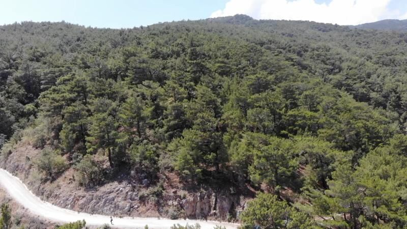 Bursa’da ormanlara giriş yasaklandı!