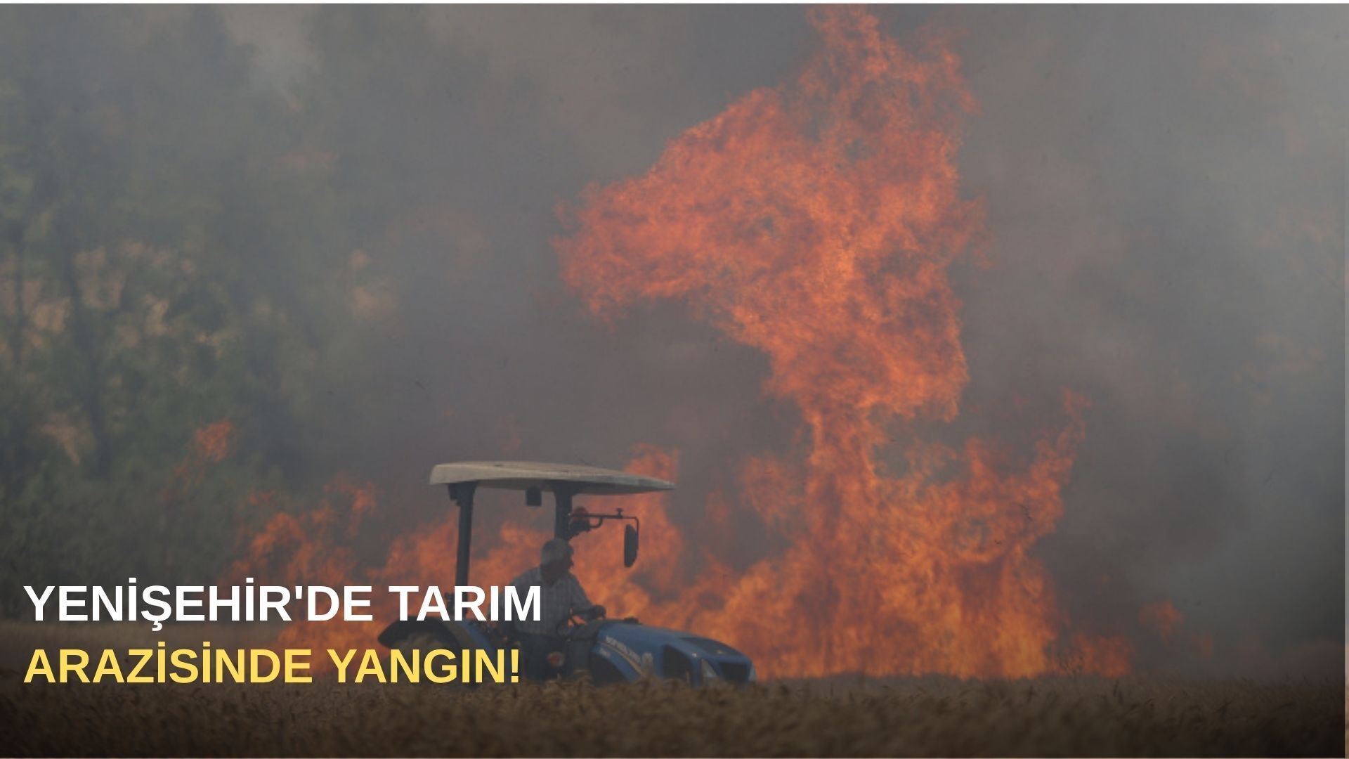 Yenişehir'de tarım arazisinde yangın!