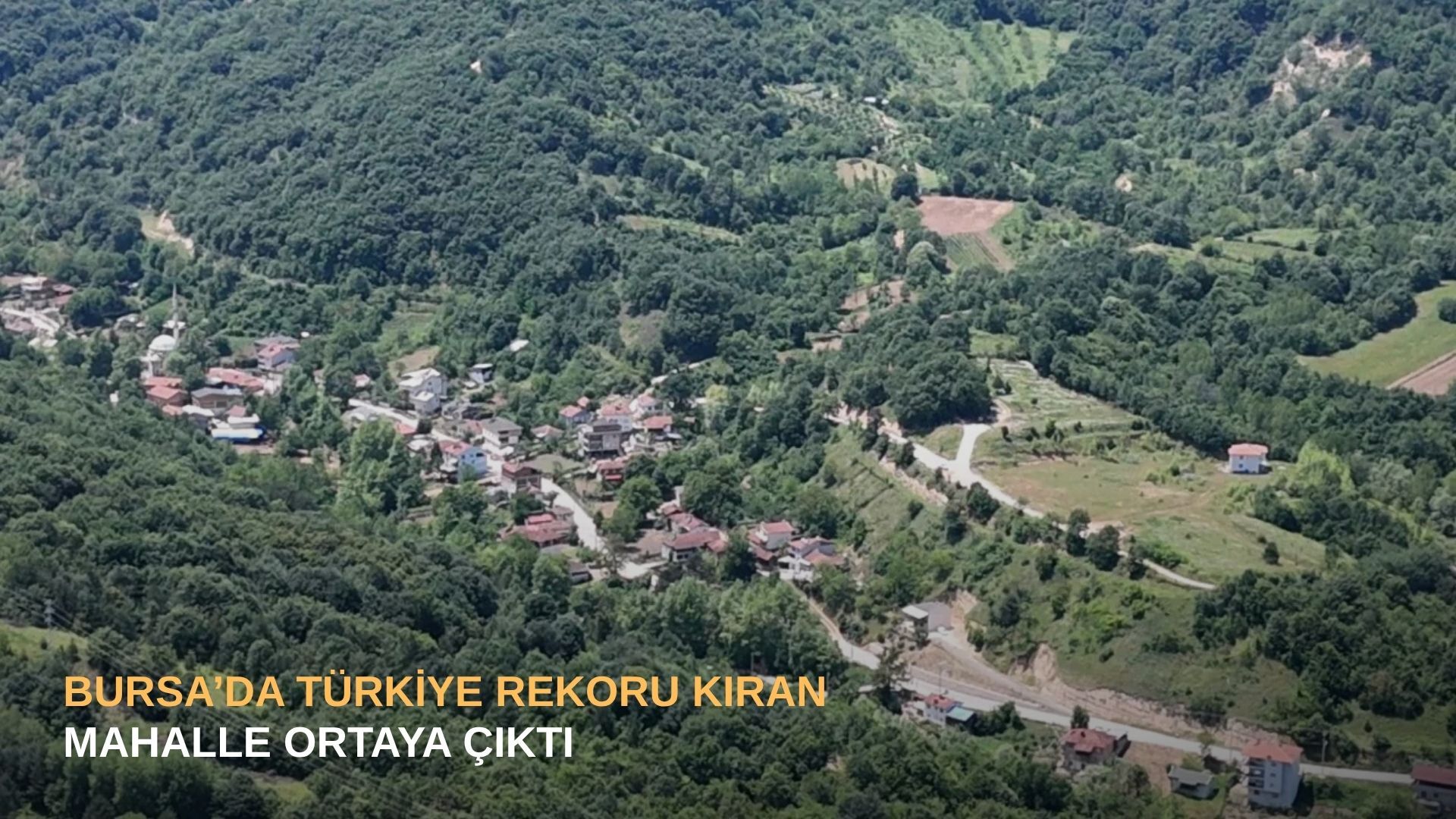 Bursa’da Türkiye rekoru kıran mahalle ortaya çıktı
