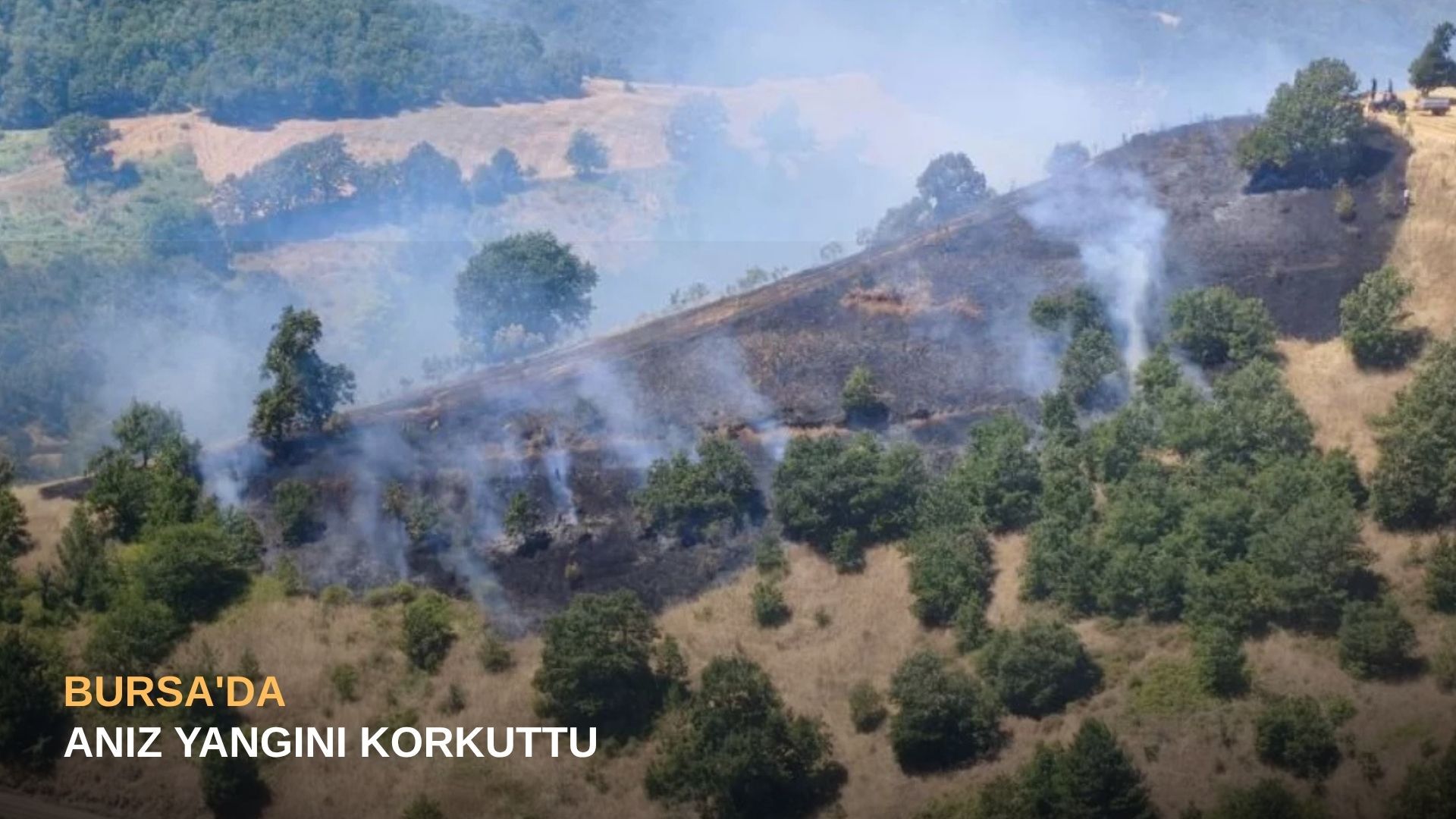 Bursa'da anız yangını korkuttu
