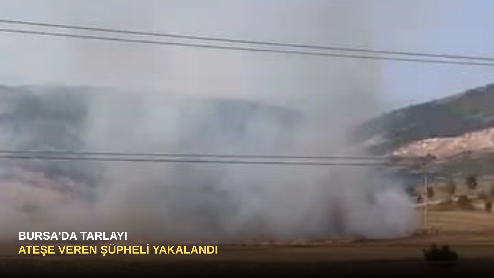 Bursa'da Tarlayı Ateşe Veren Şüpheli Yakalandı