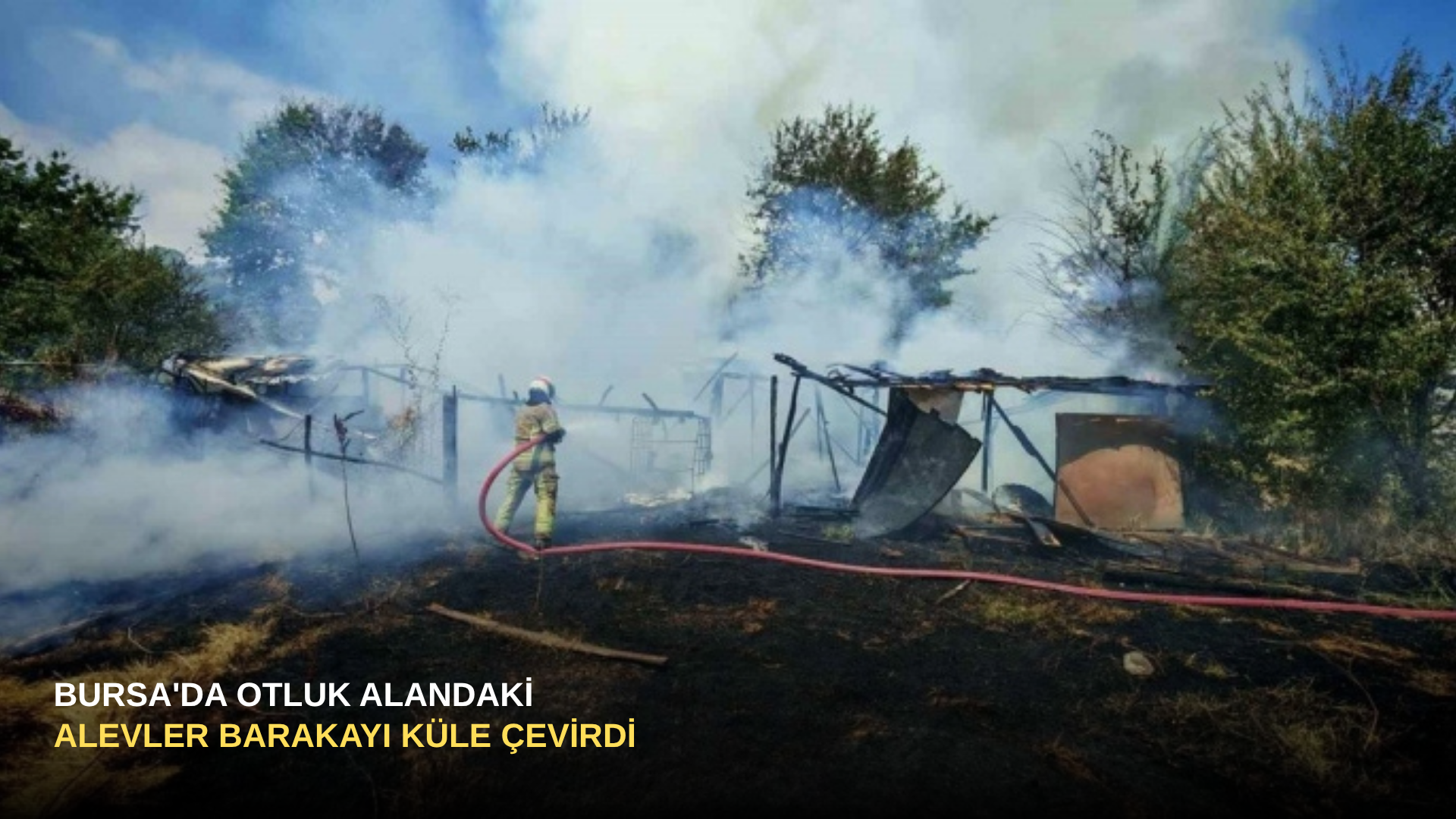 Bursa'da Otluk Alandaki Alevler Barakayı Küle Çevirdi