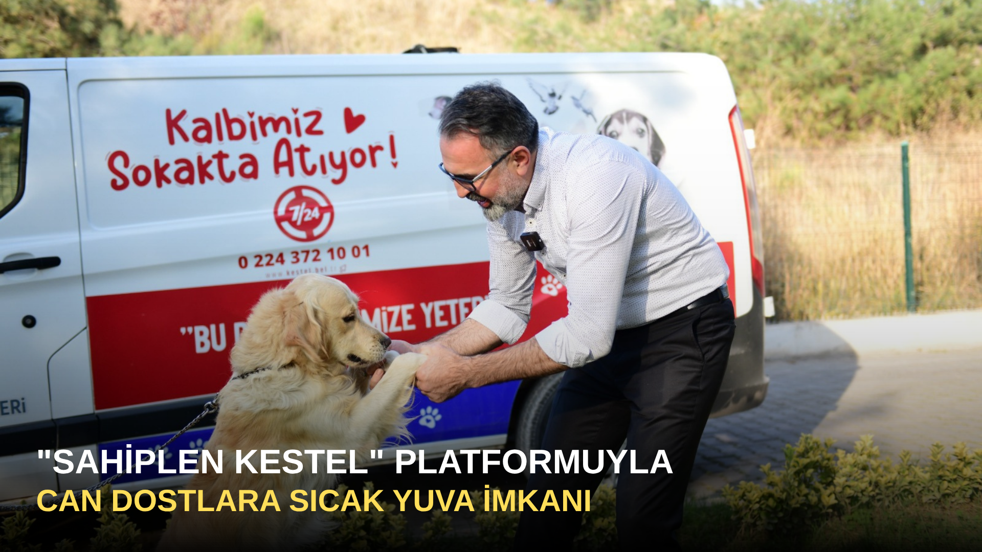 "Sahiplen Kestel" Platformuyla Can Dostlara Sıcak Yuva İmkanı
