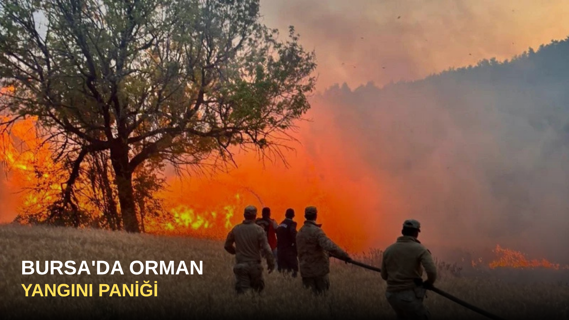 Bursa'da Orman Yangını Paniği