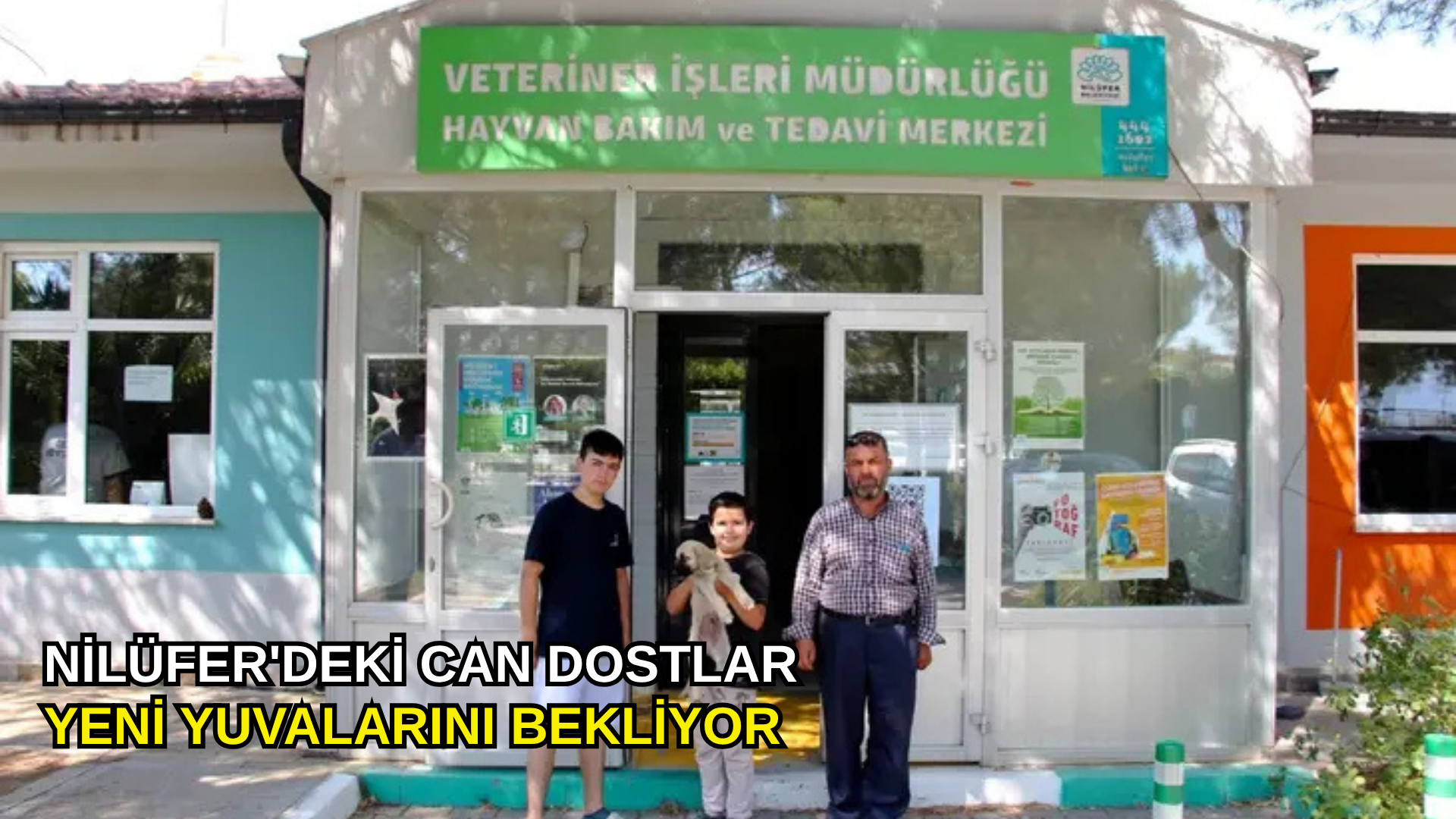 Nilüfer'deki can dostlar yeni yuvalarını bekliyor