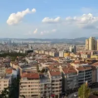 Bursa