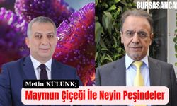 Maymun Çiçeği İle Neyin Peşindeler?