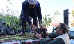 Konya'dan çiftçiye sumak desteği