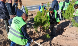 Sivas'ta mevsimlik işçiler adına hatıra ormanı