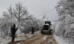 Artvin'de kar köylere ulaşımı kesti