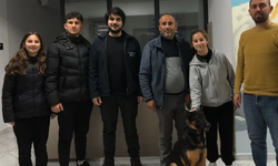 Kocaeli'de 275 cana yuva bulundu