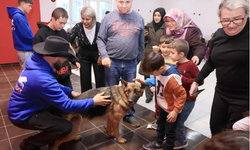 Trakya Üniversitesi'nde eğitimli köpeklerle sıcak buluşma