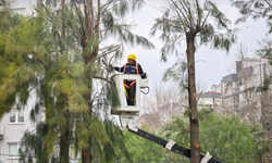 İzmir Bornova’da kışa hazırlık başladı