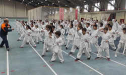 Bursa Osmangazi’de karate eğitim semineri