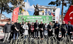 Denizli'de zeytin fidanları toprakla buluşuyor