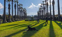 İzmir'de Kültürpark yeniden doğuyor