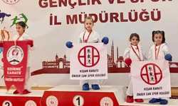 Edirne Karate İl Şampiyonası'nda Öndercan başarısı