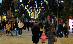 Sakarya'da Çark Caddesi süslendi