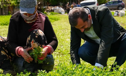 Bursa Gürsu’ya ‘Altın’ değerinde bir proje