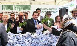 Osmangazi Belediyesi’nden ücretsiz fide dağıtımı