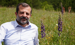 Gürsu’da Doğanın Nadir Güzelliği Görüntülendi