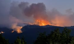 Yangınlarla ilgili 3 kişi tutuklandı