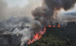 Çanakkale'de alevlerle mücadele devam ediyor