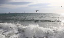 Marmara kıyılarında 1,6 milyon kişi iklim kaynaklı risklerle karşı karşıya
