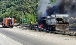 Büyükbaş hayvan yüklü tırda yangın çıktı