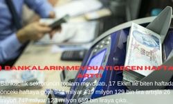 Bankaların mevduatı geçen hafta arttı