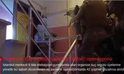 Organize suç örgütü üyelerine "şafak" operasyonu