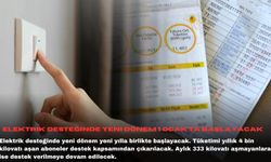 Elektrik desteğinde yeni dönem 1 Ocak'ta başlayacak
