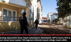 Sındırgı depreminin hasar tespit çalışmaları tamamlandı