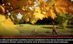 Kasımda "bahar" havası: Sıcaklıklar mevsim normallerinin üstünde