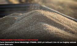 TİGEM 2 bin ton buğday satacak