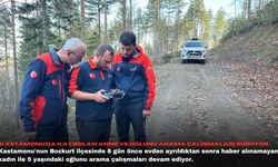 Kastamonu'da kaybolan anne ve oğlunu arama çalışmaları sürüyor