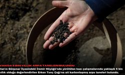 Van'da 5 bin yıllık arpa taneleri bulundu