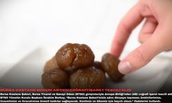 Bursa Kestane Şekeri AB’den coğrafi işaret tescili aldı